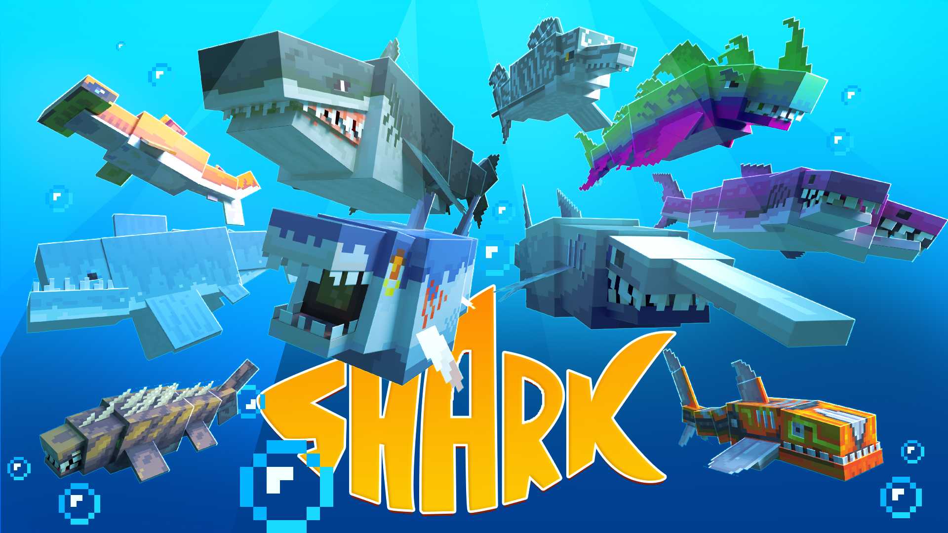 Keyart featuring a bunch of sharks and the text 'Shark'